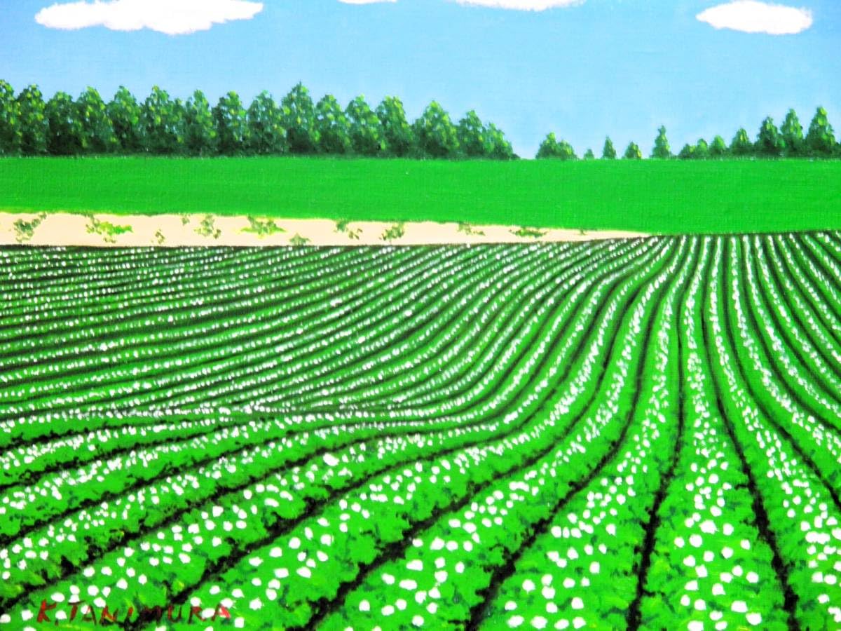 Amazon.co.jp: 美瑛うねるいも畑谷村一男肉筆油彩画F6額付 : おもちゃ